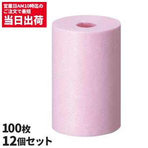 キョーリン 杏林製薬 ルビスタ ワイプ詰替用 100枚 ルビスタパウダーは別売 送り先に法人名or屋号必要です 12個入244522｜cc-net