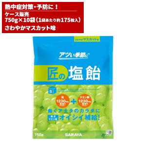 サラヤ SARAYA 匠の塩飴 マスカット味 750g 10袋入 27858｜cc-net
