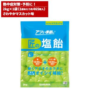 セール価格 サラヤ SARAYA 匠の塩飴 マスカット味 2kg 27859｜cc-net