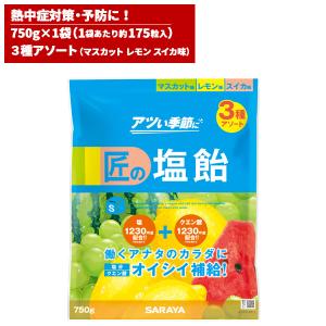 セール価格 サラヤ SARAYA 匠の塩飴 3種アソート味 マスカット・レモン・スイカ 750g 27860