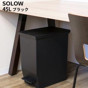 SOLOW ソロウ ペダルオープンツイン 45L ブラック キャスター付 DS-218-845-7｜cc-net