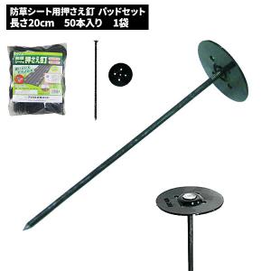 セール価格 イノベックス Dio 防草シート用 押さえ釘 (パッドセット) 20cm(50本入) 252324｜cc-net