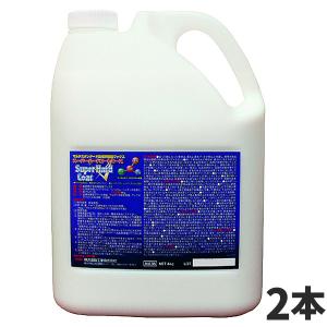 横浜油脂工業 Linda スーパーハードコートエース 4kg  4346