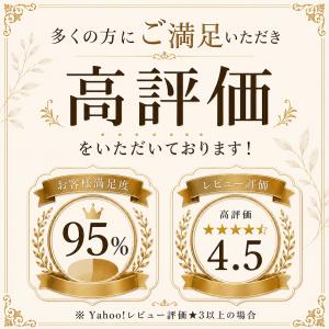 AirPods ケース Pro3 第4世代 P...の詳細画像1