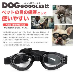 小型犬用ゴーグル 獣医師の視点からも注目される...の詳細画像5