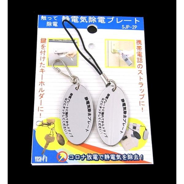 静電気 静電気除去 嫌な静電気を除去 静電気防止キーケース＆ストラップ ２個セットキーホルダー 静電...