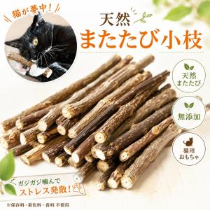 即納 猫用天然またたびスティック またたびの小枝 またたび マタタビ リラックス イライラ ストレス発散 おもちゃ ペット用品 猫用品 送料無料｜CCCSTORES