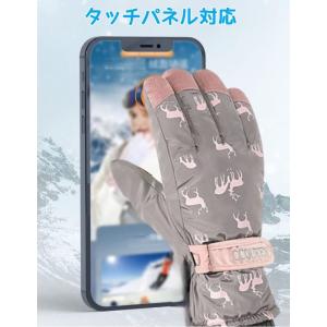 スキー スノーボード グローブ 手袋 メンズ ...の詳細画像1