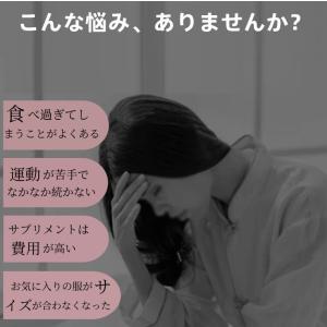 耳つぼシール 粒タイプ 金粒 銀粒 60粒 1...の詳細画像1