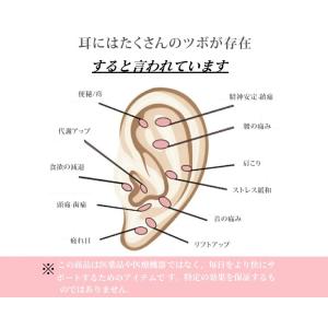 耳つぼシール 粒タイプ 金粒 銀粒 60粒 1...の詳細画像5