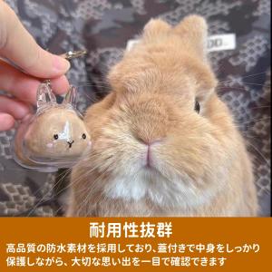 ペット 遺毛 ケース 透明 遺毛入れ ペット ...の詳細画像2