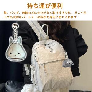 ペット 遺毛 ケース 透明 遺毛入れ ペット ...の詳細画像5