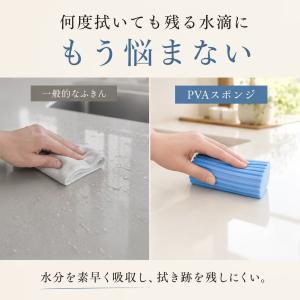 【2個セット】ダンプダスター スポンジ 掃除用...の詳細画像1