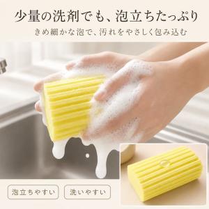 【2個セット】ダンプダスター スポンジ 掃除用...の詳細画像2