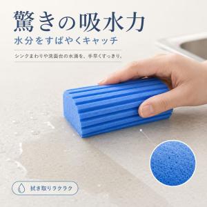 【2個セット】ダンプダスター スポンジ 掃除用...の詳細画像3