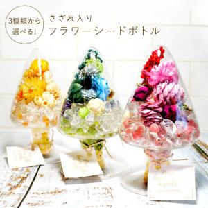 易占道具本筮法（ほんぜいほう）オプション筮竹台セット 5点 : 心理