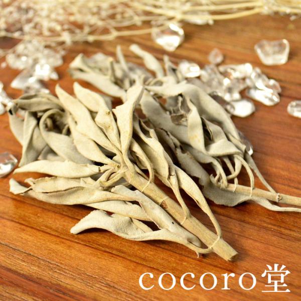 無農薬 ホワイト セージ 天然石 パワーストーン 浄化