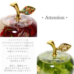 パワーストーン 置き物 りんご ハーバリウム ...の詳細画像2