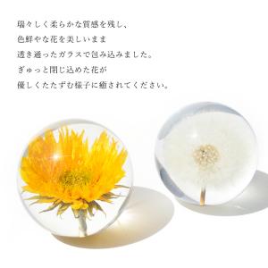 5種類から選べる フラワーボール 丸玉 生花 ...の詳細画像2