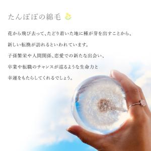 5種類から選べる フラワーボール 丸玉 生花 ...の詳細画像3