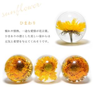 5種類から選べる フラワーボール 丸玉 生花 ...の詳細画像4