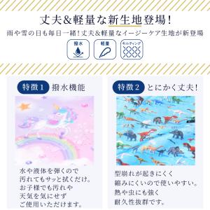 バッグ・巾着3点セット レッスンバッグ 巾着 ...の詳細画像2