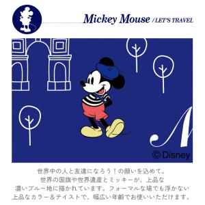 ディズニー 母子手帳ケース ファスナー おしゃ...の詳細画像2