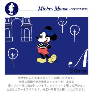ディズニー 裁縫バッグ ソーイングバック エル...の詳細画像3