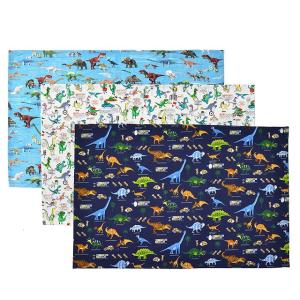 ランチョンマット 40cm×60cm 柄違い3枚セット 大恐竜セット