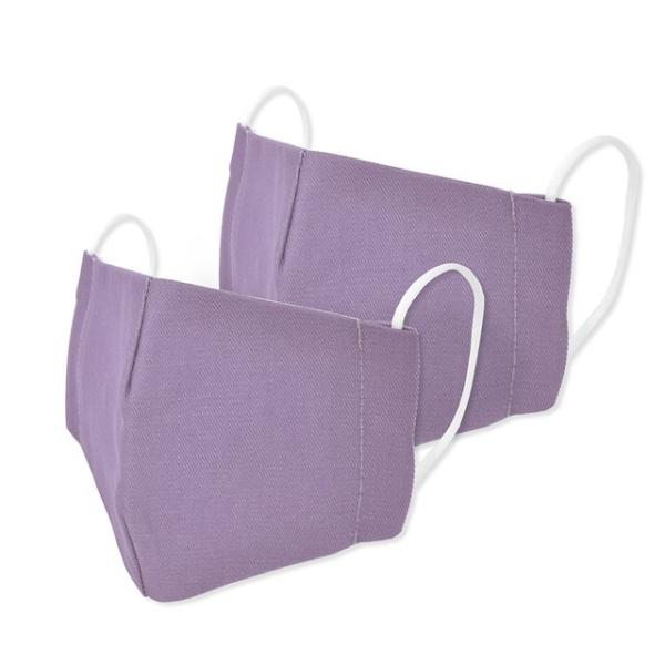 抗ウイルス・抗菌 大人用マスク フリーサイズ2枚セット 銀イオン抗菌ガーゼ パープル 洗える 布 立...