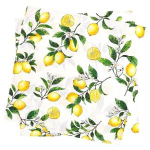 テーブルナプキン／トーション 2枚セット シトラスレモン レモン フルーツ プロヴァンス ひざ掛け キッチン おしゃれ かわいい｜COLORFUL CANDY STYLE
