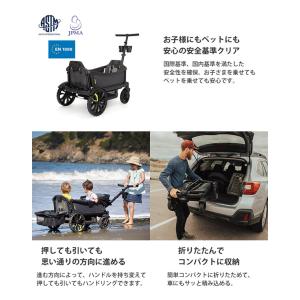 正規販売店 VEER CRISER ヴィア ク...の詳細画像2