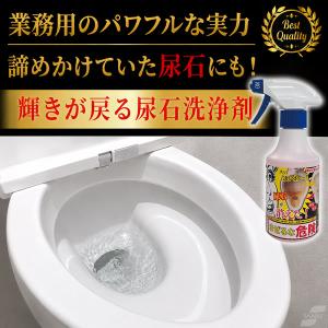 輝きが戻る尿石洗浄剤 300ml (送料無料)...の詳細画像1
