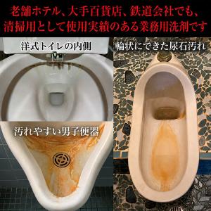 輝きが戻る尿石洗浄剤 300ml (送料無料)...の詳細画像2