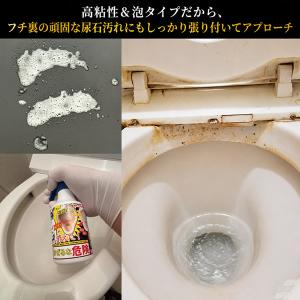 輝きが戻る尿石洗浄剤 300ml (送料無料)...の詳細画像3