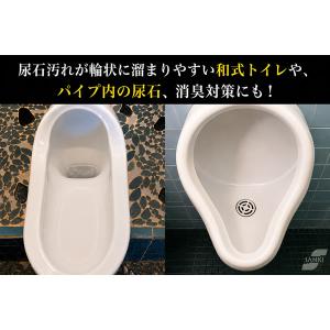 輝きが戻る尿石洗浄剤 300ml (送料無料)...の詳細画像4