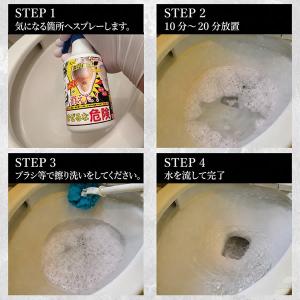 輝きが戻る尿石洗浄剤 300ml (送料無料)...の詳細画像5