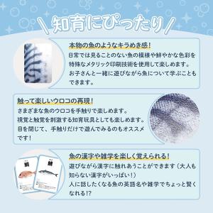 さかなかるた (メール便送料無料) かるた 魚...の詳細画像2