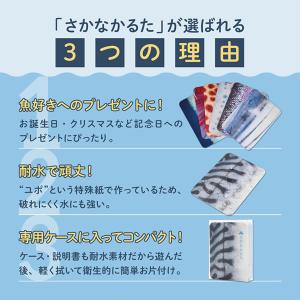 さかなかるた (メール便送料無料) かるた 魚...の詳細画像3