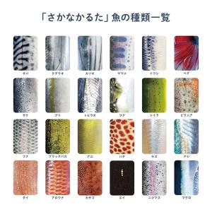 さかなかるた (メール便送料無料) かるた 魚...の詳細画像4