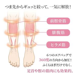 選べるおまけ付き 【正規品/1年保証】着圧フッ...の詳細画像3