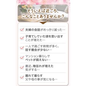 ギフト用ラッピング無料 音声認識人形 おしゃべ...の詳細画像1