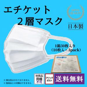 エチケット2層マスク投函パッケージ１箱（30枚入り ） 日本製 国産｜cct-kk