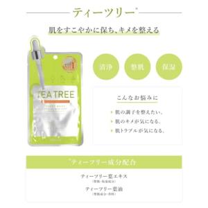 【4種セット】PICOMONTE ピコモンテ ...の詳細画像3