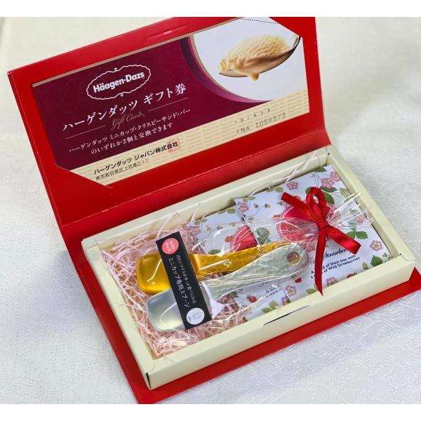 特別限定ギフト 燕製熱伝導アイススプーン2本 ハーゲンダッツギフト券1枚 ウエッジウッドティーバック...
