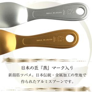 特別限定ギフト 燕製熱伝導アイススプーン2本 ...の詳細画像4