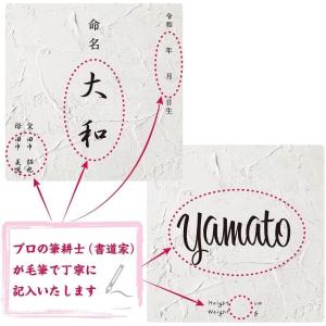 デザイン 命名書 手書き毛筆代書付き おしゃれ...の詳細画像4