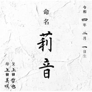 デザイン 命名書 手書き毛筆代書付き おしゃれ...の詳細画像2