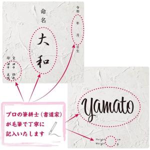 デザイン 命名書 手書き毛筆代書付き おしゃれ...の詳細画像4