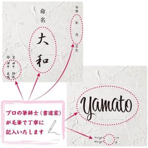 デザイン 命名書 手書き毛筆代書付き おしゃれ...の詳細画像4